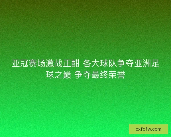 亚冠赛场激战正酣 各大球队争夺亚洲足球之巅 争夺最终荣誉
