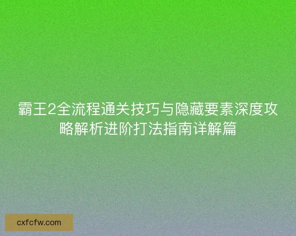 霸王2全流程通关技巧与隐藏要素深度攻略解析进阶打法指南详解篇