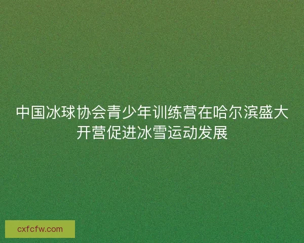 中国冰球协会青少年训练营在哈尔滨盛大开营促进冰雪运动发展
