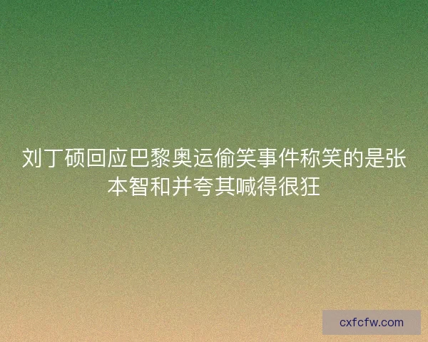刘丁硕回应巴黎奥运偷笑事件称笑的是张本智和并夸其喊得很狂