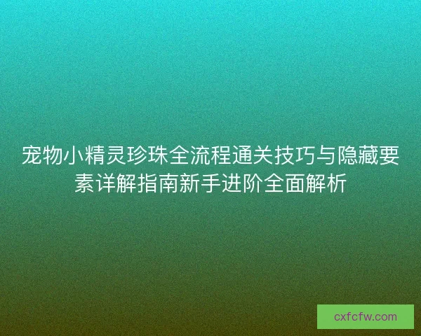 宠物小精灵珍珠全流程通关技巧与隐藏要素详解指南新手进阶全面解析