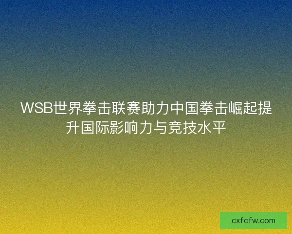 WSB世界拳击联赛助力中国拳击崛起提升国际影响力与竞技水平