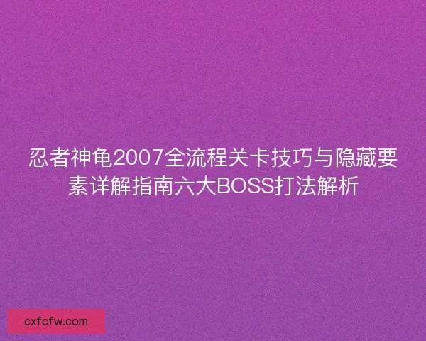 忍者神龟2007全流程关卡技巧与隐藏要素详解指南六大BOSS打法解析